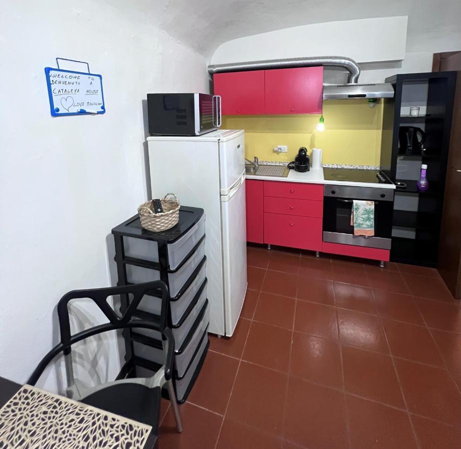 Cataleya Apartment Bologna Luaran gambar